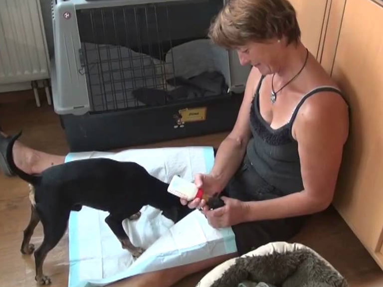 Erziehung und Pflege