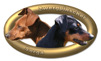 Zwergpinscher-Steinwitz - Logo