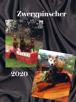 Titelblatt: Zwergpinscher Jahreskalender 2020
