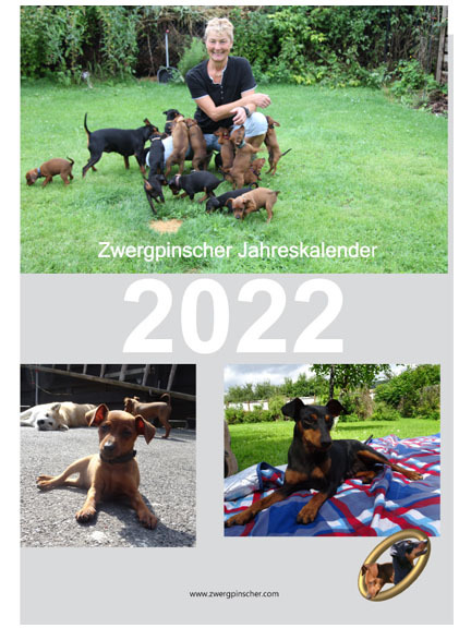 Zwergpinscher Kalender 2022