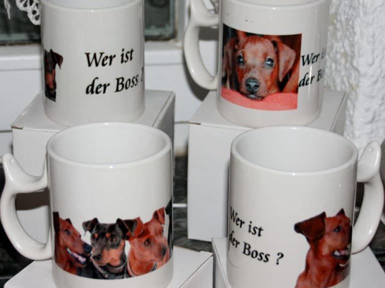 Zwergpinscher Fototassen